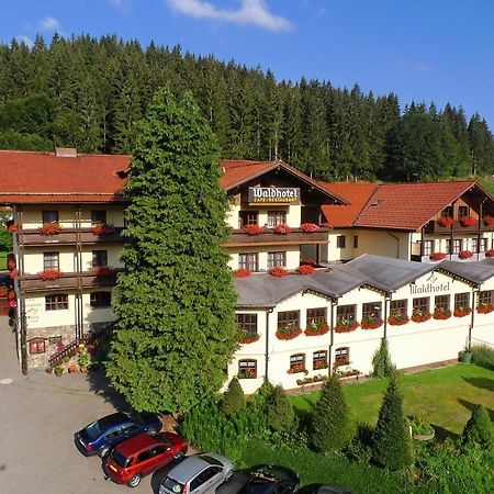 Waldhotel Seebachschleife Bayerisch Eisenstein Exteriér fotografie